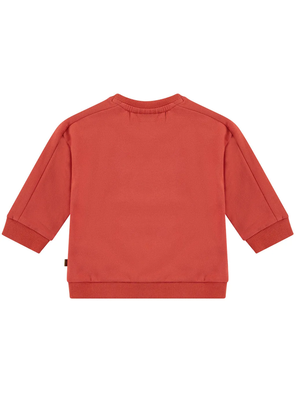 Babyface - Baby Boys Sweatshirt-NWB23427405 Orange