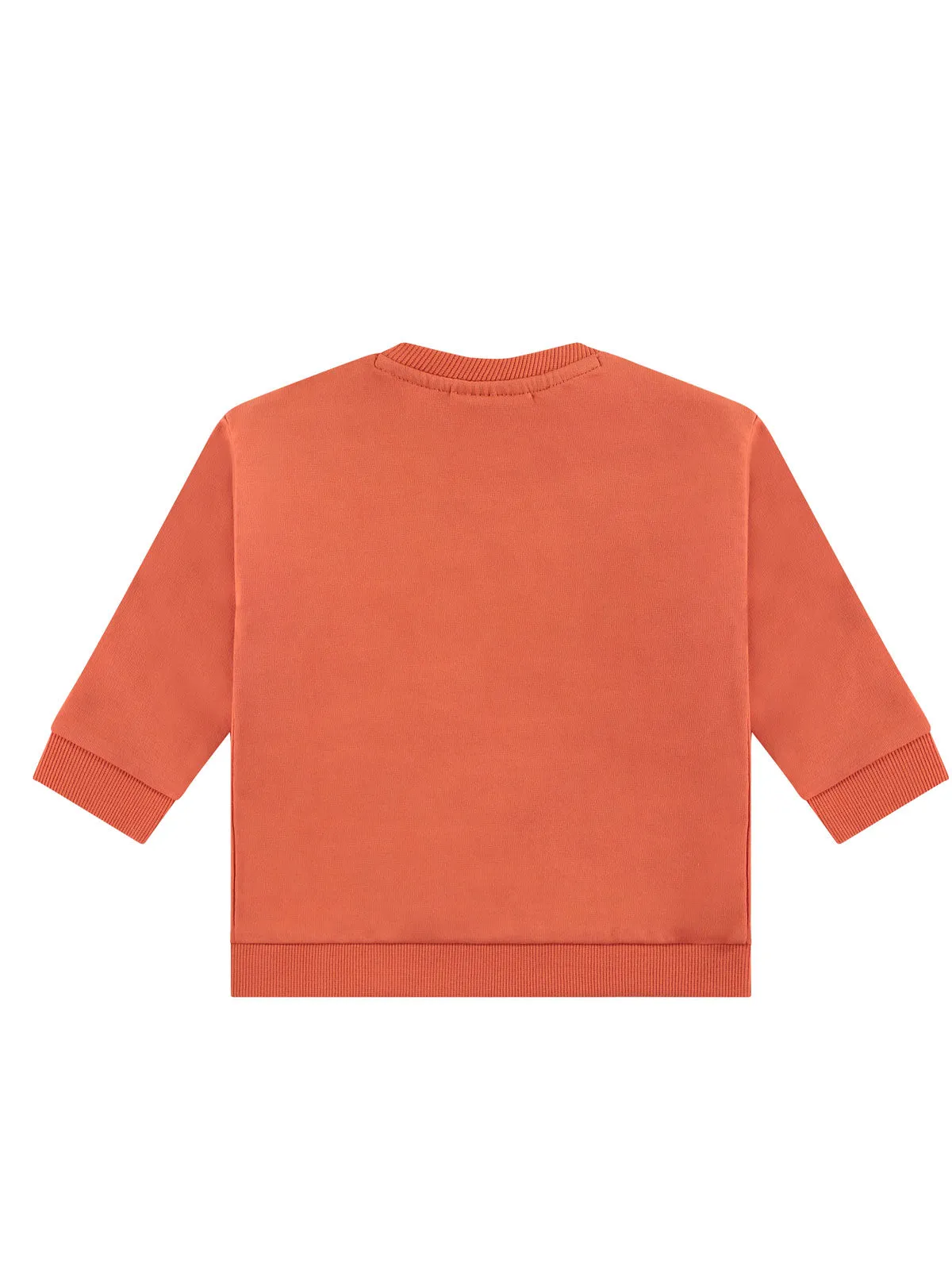 Babyface - Boys cotton sweatshirt-BBE24427403-Orange