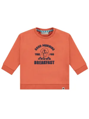 Babyface - Boys cotton sweatshirt-BBE24427403-Orange