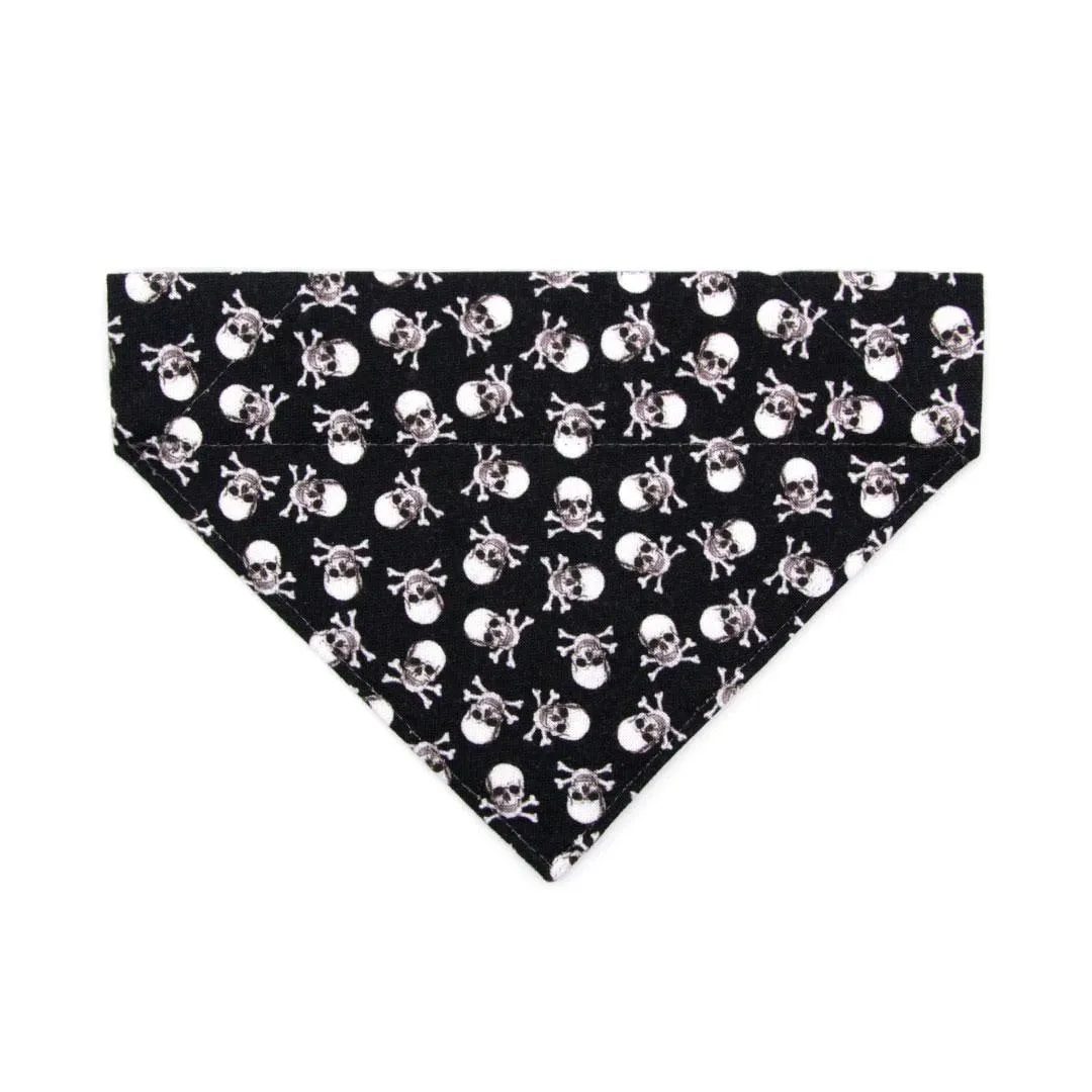 Cat Bandana - "Misfit" - Black Pirate Skull Bandana for Cat   Small Dog / Halloween, Biker, Edgy / Slide-On Over the Collar Bandana