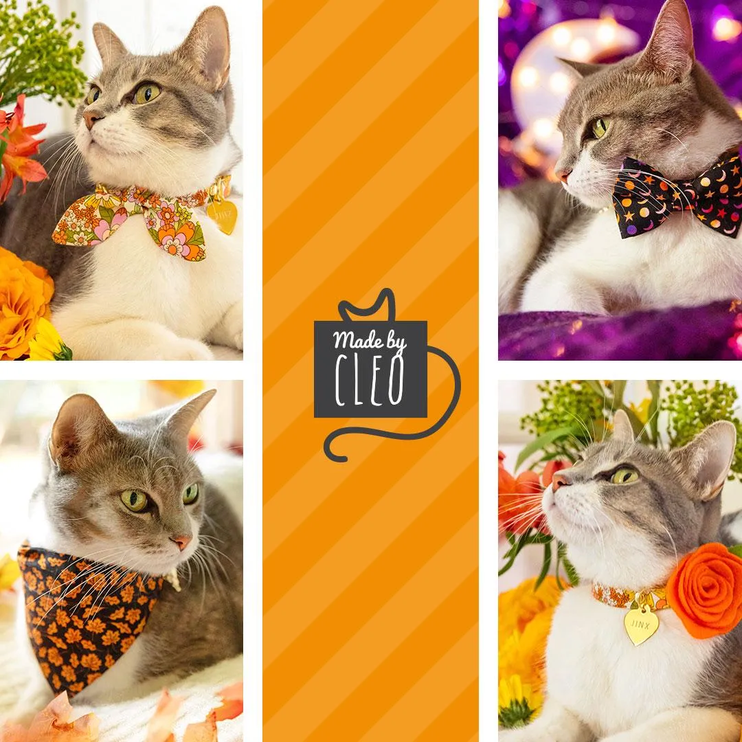 Cat Bandana - "Punk Rock Halloween" - Black Orange Checkered Bandana for Cat   Small Dog / Slide-On Over the Collar Bandana