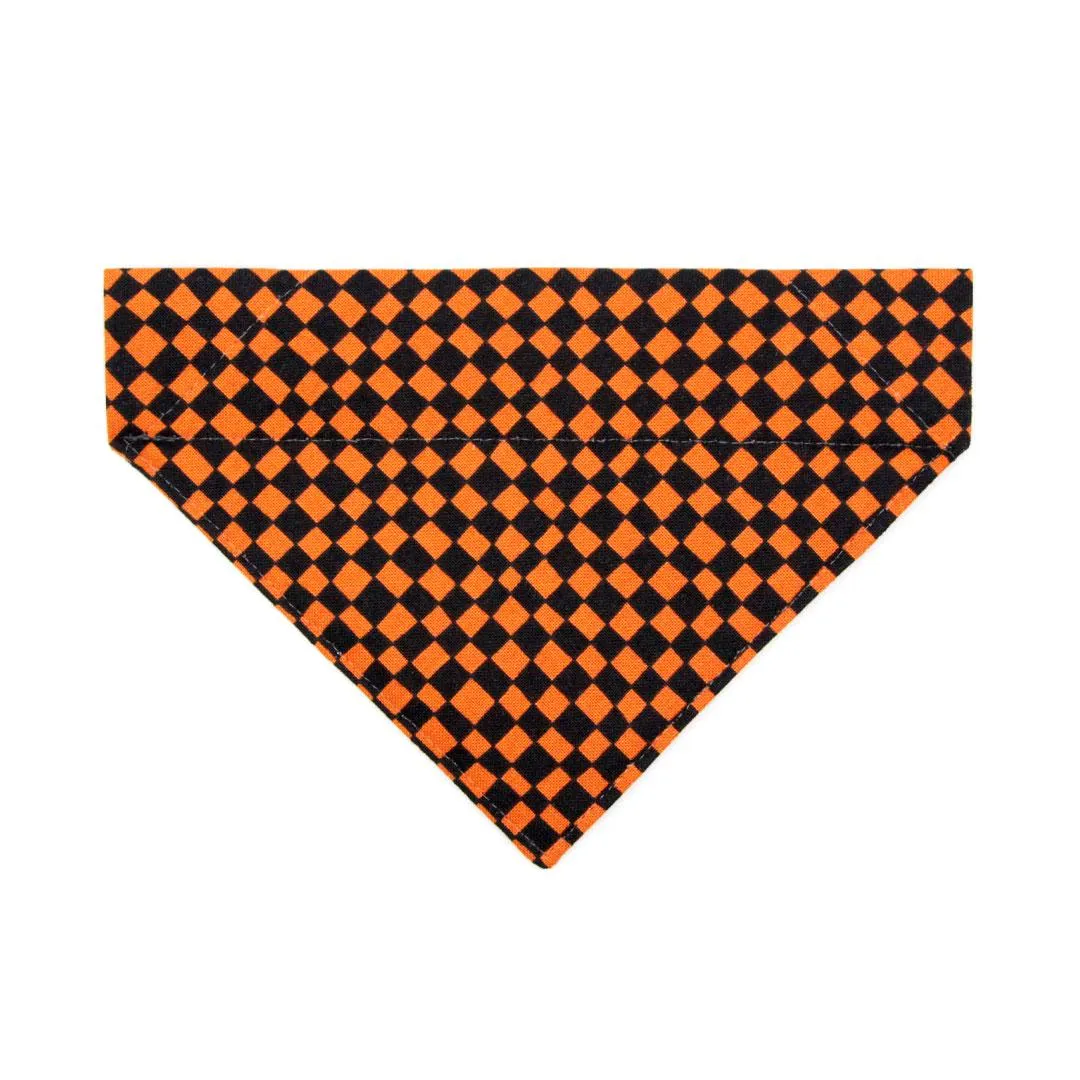 Cat Bandana - "Punk Rock Halloween" - Black Orange Checkered Bandana for Cat   Small Dog / Slide-On Over the Collar Bandana