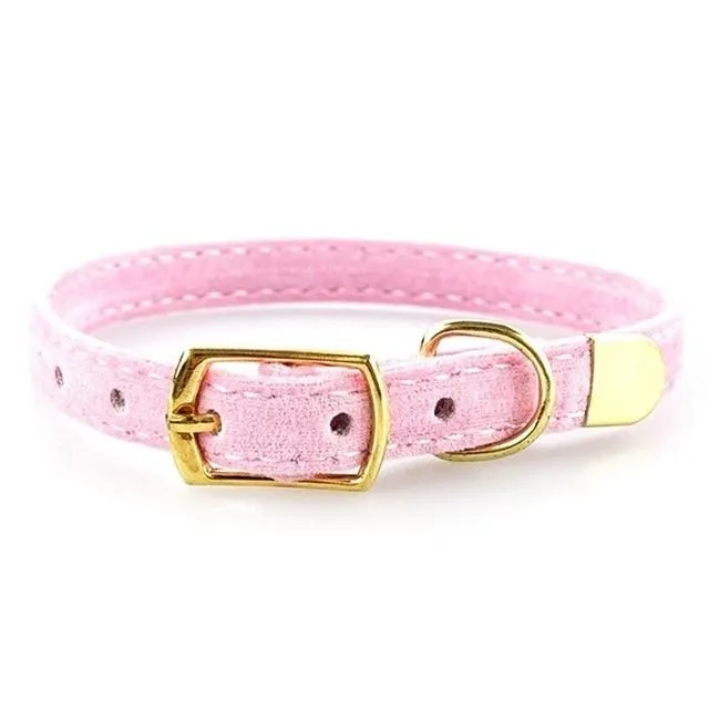 Classic Collar for Cats