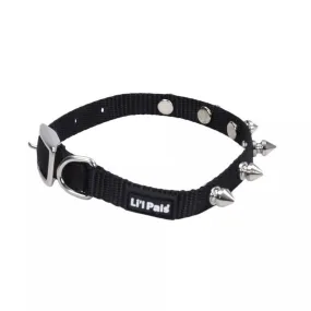 Coastal Li'l Pals Spiked Nylon Dog Collar