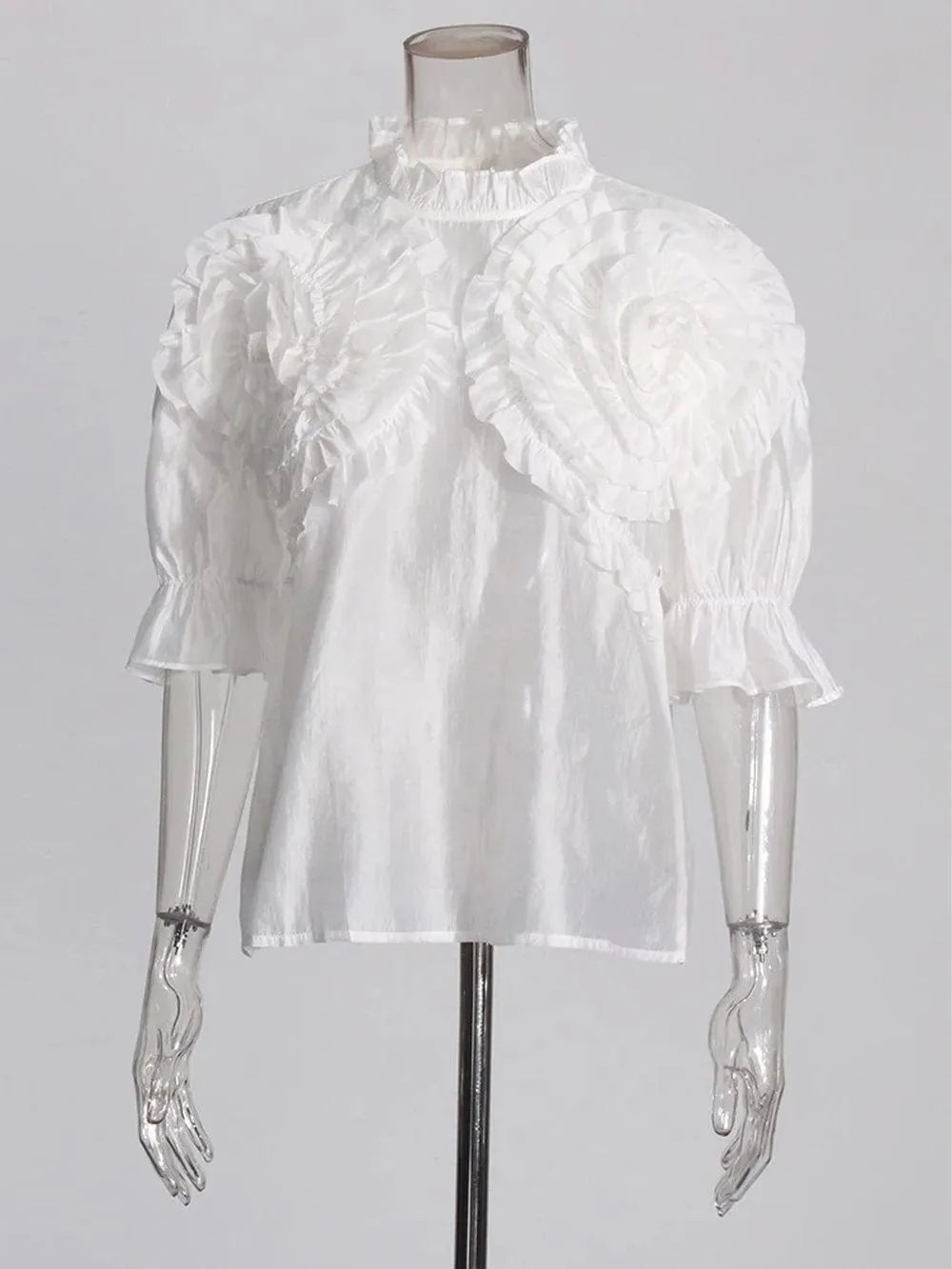 Dalynna Appliques Casual Ruffled Shirt