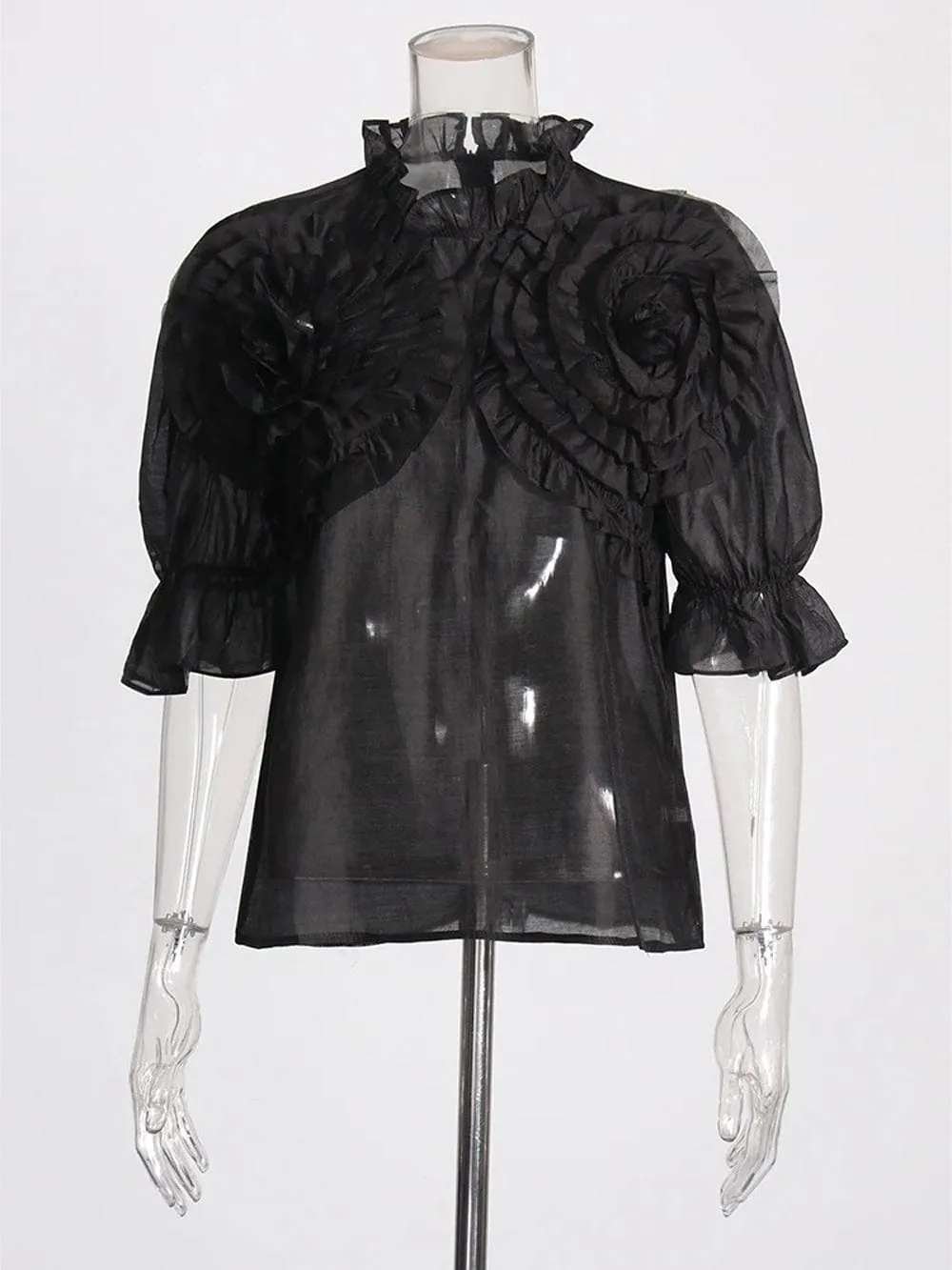 Dalynna Appliques Casual Ruffled Shirt