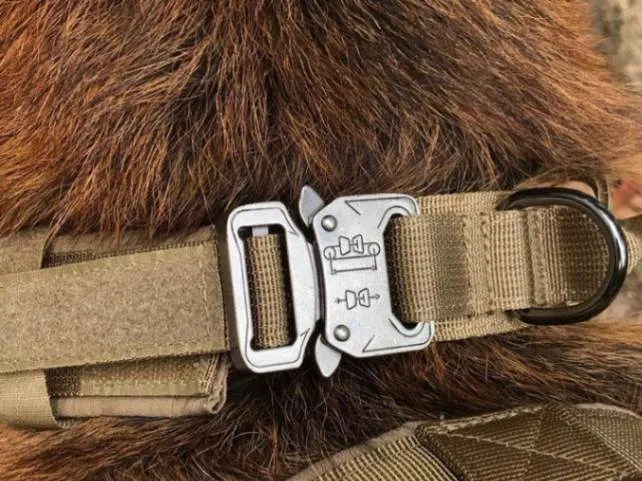 Elite Control: Tactical Dog Collar with Handle!