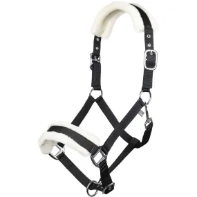 Head Collar Teddy Style