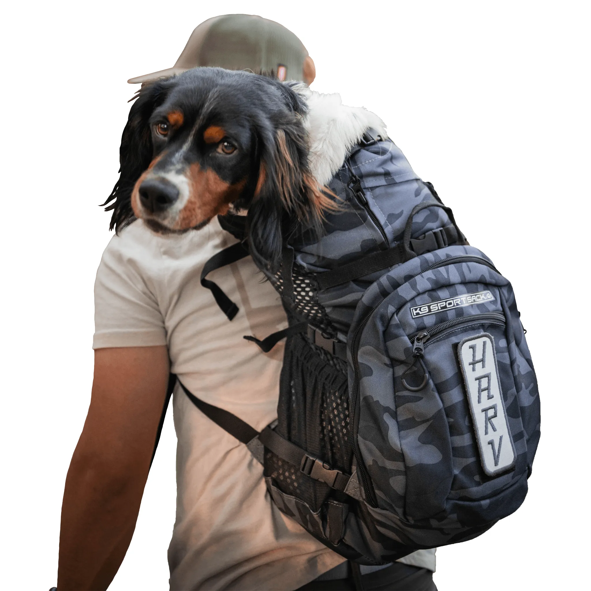 Klearance Plus 2 | Dog Carrier with Removable Storage