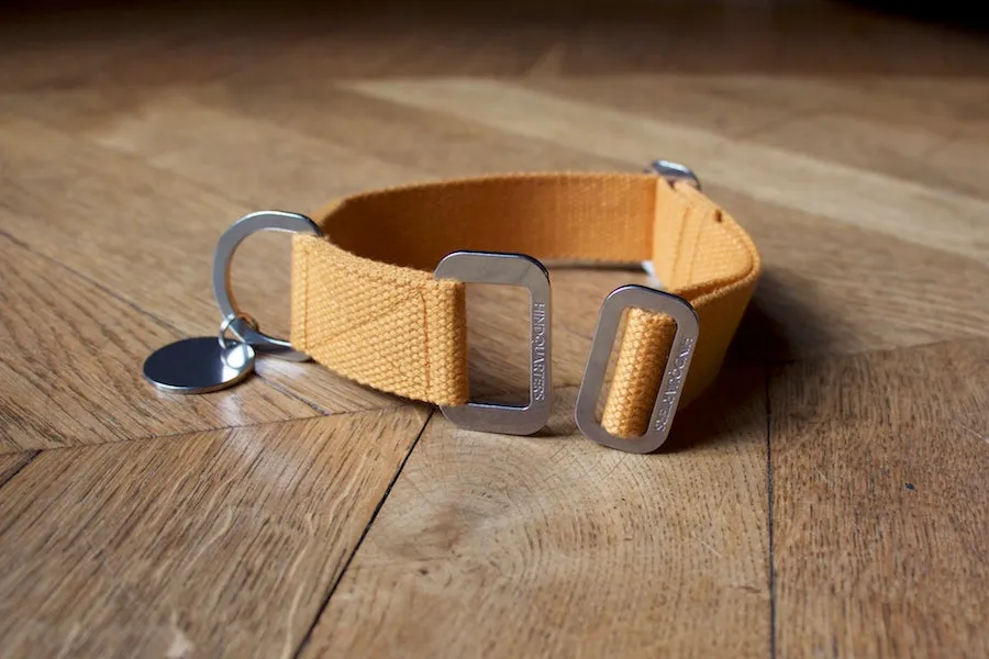 Mustard dog collars