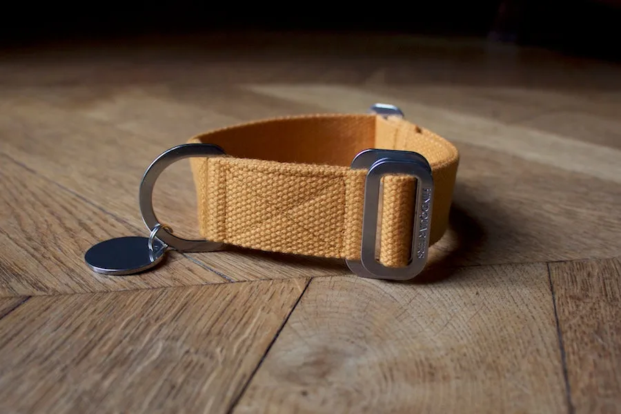 Mustard dog collars