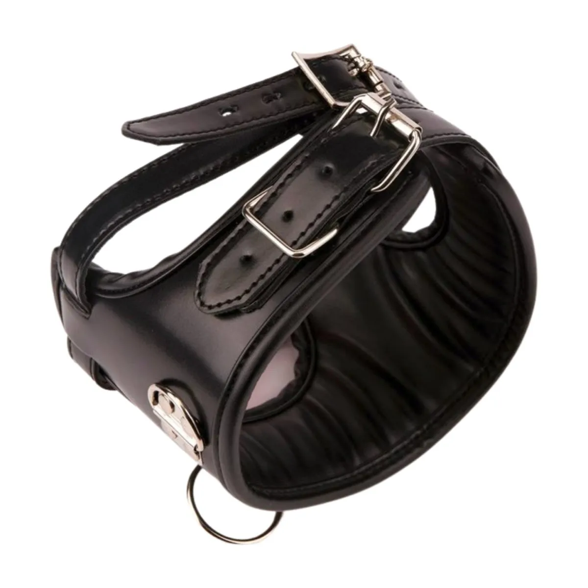 Padded Collar with Ball Gag