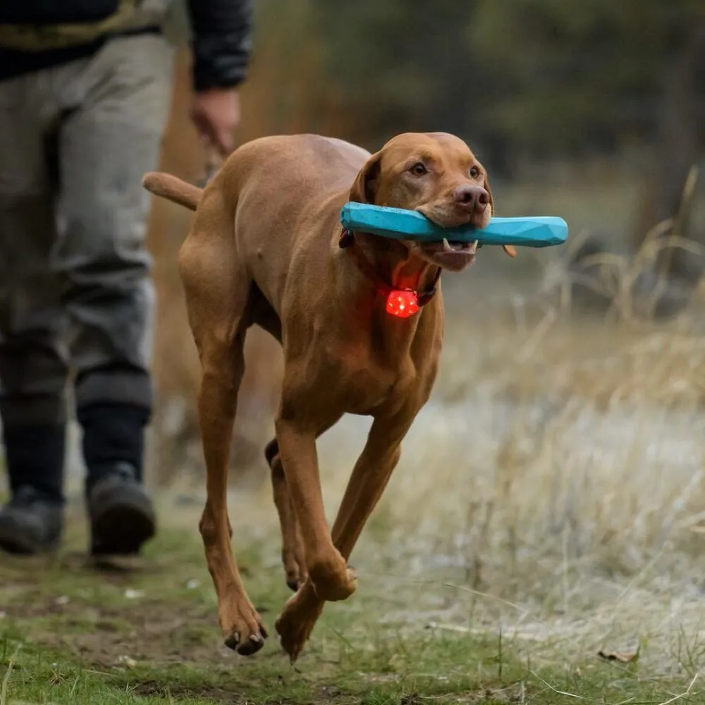 Ruffwear The Beacon Waterproof LED Safety Dog Collar Light