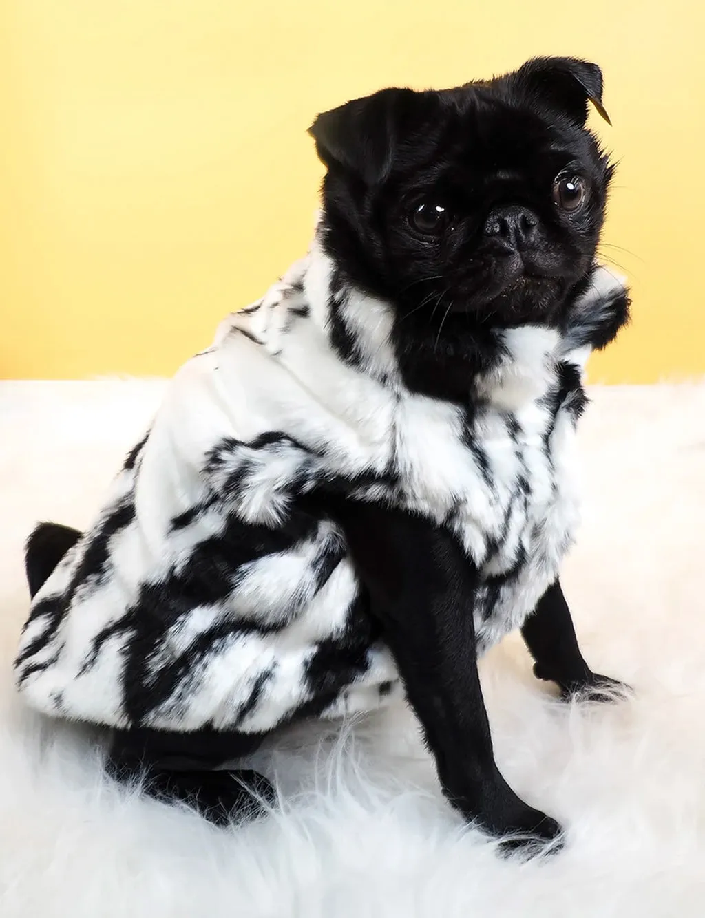 SNOW LEOPARD FAUX FUR DOG JACKET