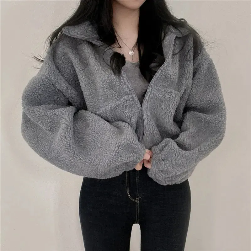 Stand-up Collar Thermal Faux Lamb Fur Coat Women's Autumn And Winter New Loose Temperament Zip Cardigan Tops