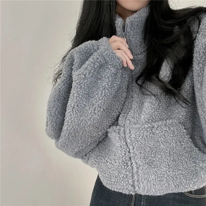 Stand-up Collar Thermal Faux Lamb Fur Coat Women's Autumn And Winter New Loose Temperament Zip Cardigan Tops