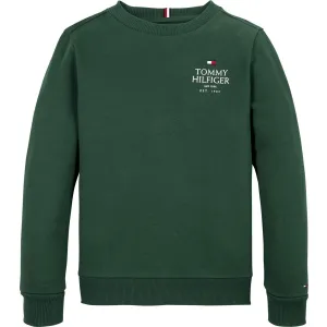 Tommy Hilfiger Ornamental Green LAndo Puff Embr Reg Crewneck