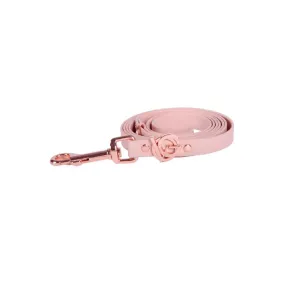 Valgray Splash Proof Dog Leash Blush & Rose Gold XSmall to Small 140cm x 1.3cm x 0.2cm