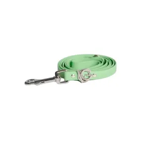 Valgray Splash Proof Dog Leash Pistachio & Silver XSmall to Small 140cm x 1.3cm x 0.2cm